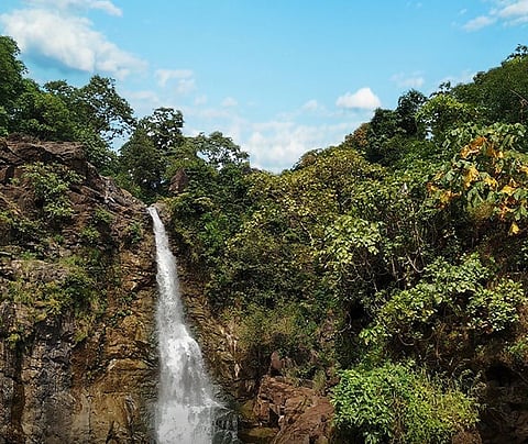 Ninai Waterfall inside Shoolpneswar Wildlife Sanctuary